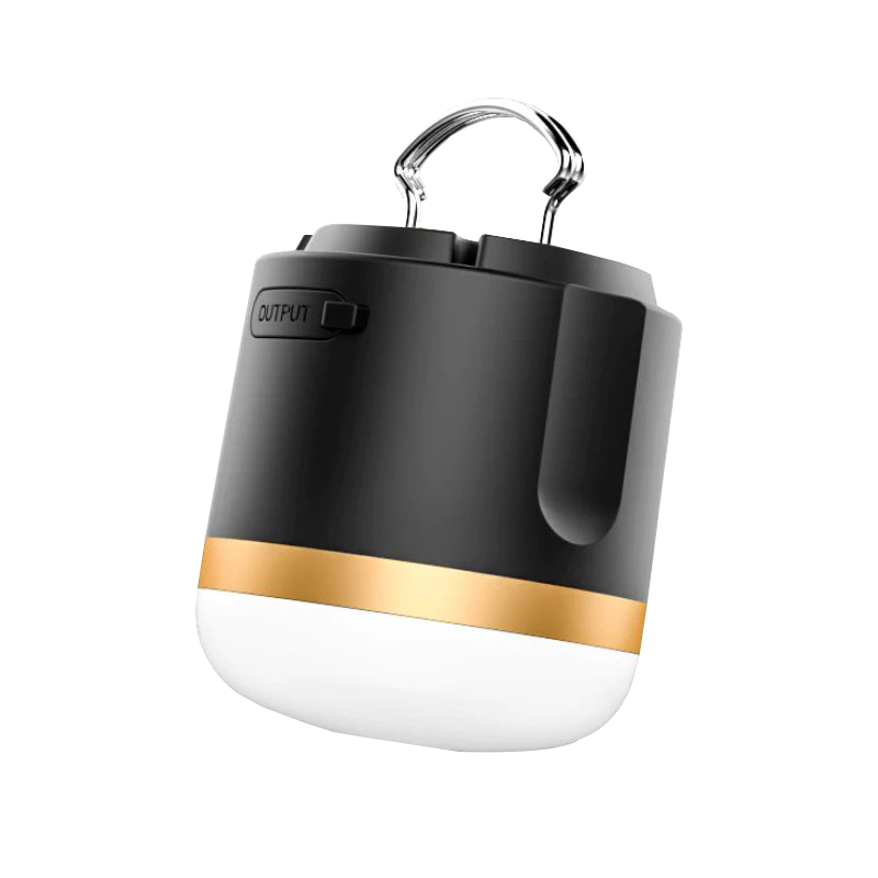 accessoire van tr&egrave;s pratique lors de vos balades nocturnes ou simplement pour lire avant de dormir